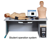 Physical Diagnosis with Heart Lung Auscultation Manikin , Medical Simulation Equipment