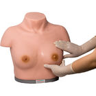 PVC Breast Examination Simulator Inspection Palpation