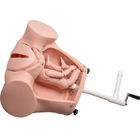 SGS PVC Training Baby Birth Simulator With Umbilical Cord