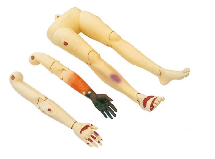 Hospitals , Colleges Arms and Legs First Aid Manikins for Nursing and Interchanging