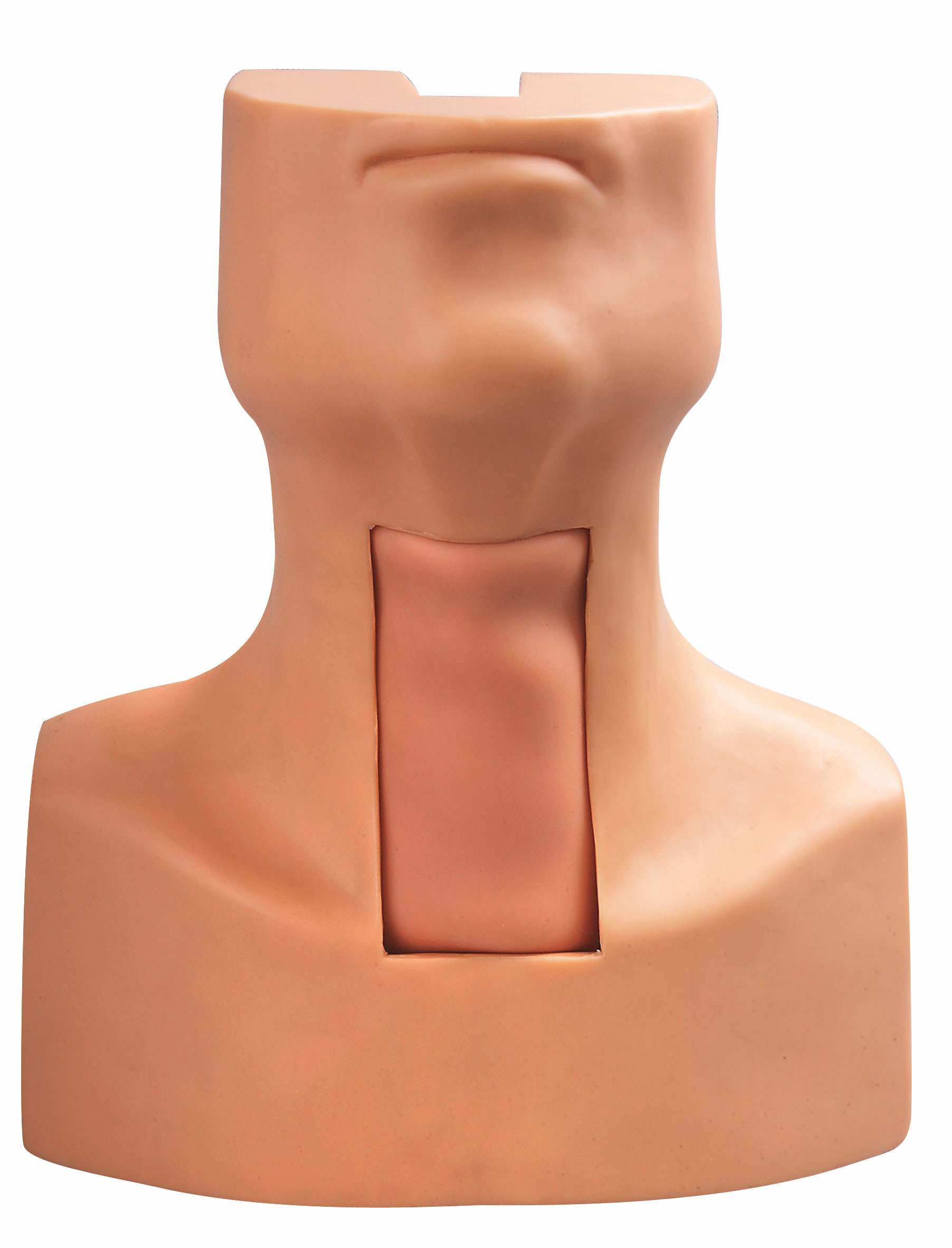Tracheostomy Puncture Intubation Model with Simulated Trachea and Neck Skin for Training
