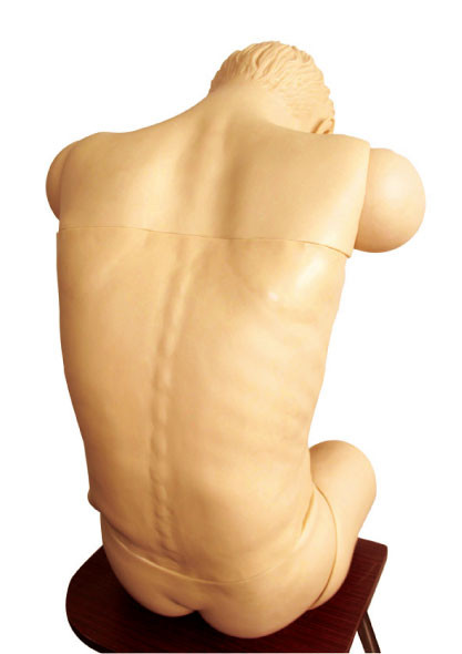 Thoracic , lumbar puncture clinical simulator anteverted sitting position education manikin