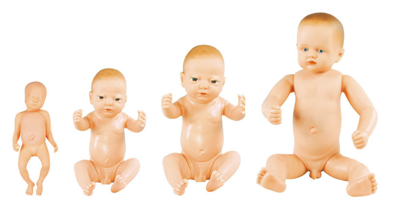 Newborn Baby Dolls Pediatric Simulation Manikin with Umbilical Cord , Infant Simulation