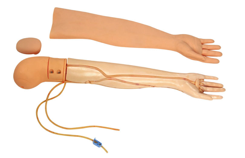 Multifunctional Venipucture Puncture and Transfusion Arm Nursing Manikin GD / HS3