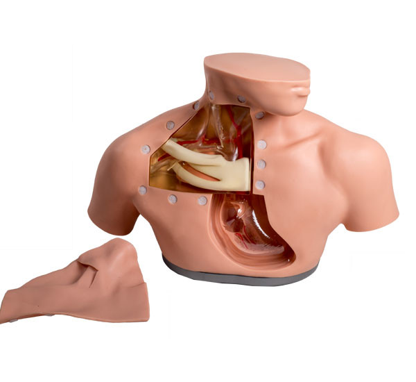 Parenteral Alimentation PVC Human Patient Simulator