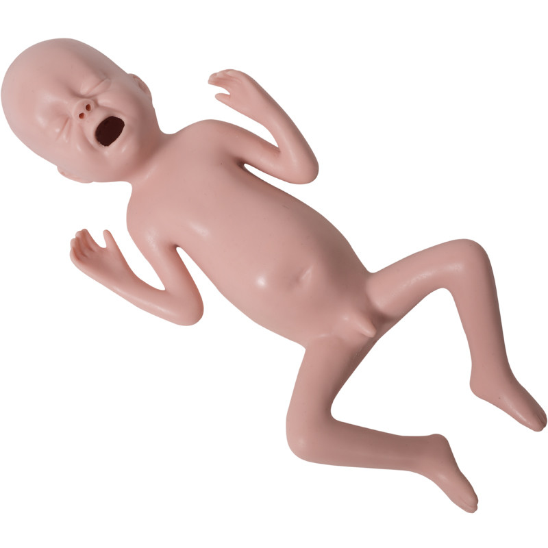 Premature Baby Pediatric Simulation Manikin With Palpation