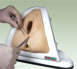 Magnify Size Child Birth hospital simulation episiotomy training with CE approvable