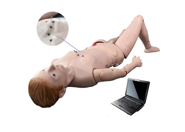 Hospital Simulation / Auscultation Manikin with ECG Simulated Teaching System