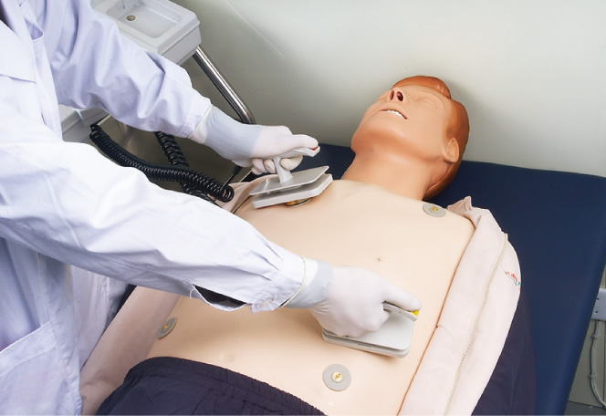 Ecg First Aid ECG Adult First Aid Manikins with ACLS Computer Screen for Colleges ...
