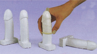 Lifelike Male Penis Model Simulator 12pcs Condom Training Tool