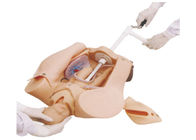 Soft Cushion Child Birth Simulator for Leopold Maneuver , Medical Training Models