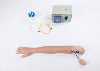 Advanced PVC Simulated human hemodialysis Arm Training Model