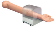 Bandaging Upper Limb PVC First Aid Manikins With Hemostasis System