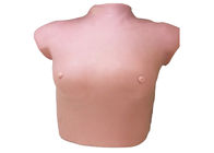 Female upper body hospital simulator modreate size breast for breast tumor examination