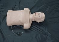 Adult Half Body Intubation CPR First Aid Manikins