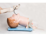 Breath Sound Function Painted PVC First Aid Manikins