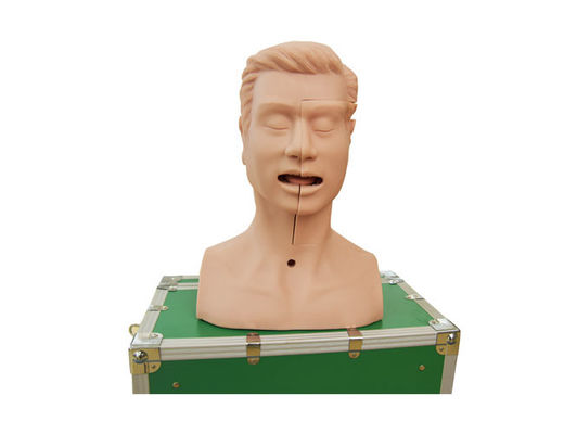 Medical Educational Sputum Suction Nursing Simulator