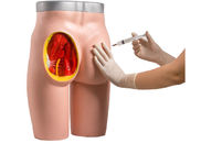 Injection Training Intramuscular Medical Human Buttock