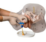 ISO PVC Male Urethral Catheterization Simulator