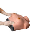 Inspection Palpation Breast Gynecologic Simulator For Training