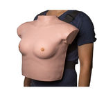 Wearable Breast Examination Model With Realistic Touch Feeling