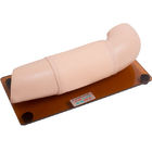 PVC Subcutaneous Embedded Contraception Arm Simulator OEM