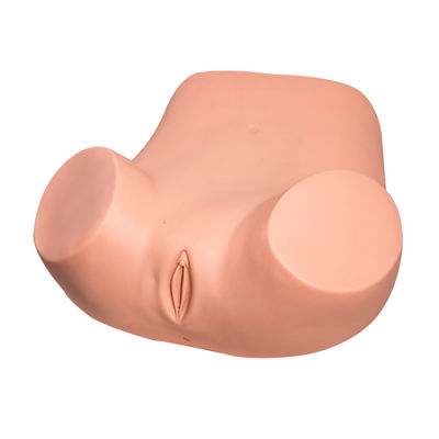 Replacement Uterus Gynecologic Simulator Vaginal Pelvic Exam Simulator