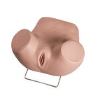 PVC Gynecological Examination Model With Replacement Cervicals