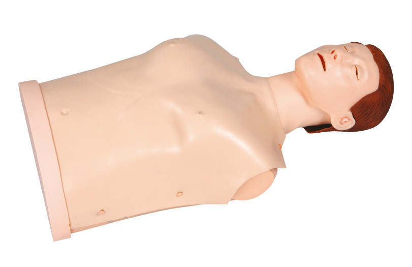 Simple Type First Aid Manikins with Beep Tips , Half - Body CPR Training Dummies