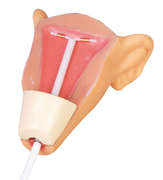 Medical training simulator female genitals IUD insertion practice education model