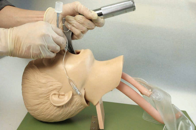 Realistic Anatomical Structure with Children's Mouth , Pharynx , Tracheafor for Intubation Training