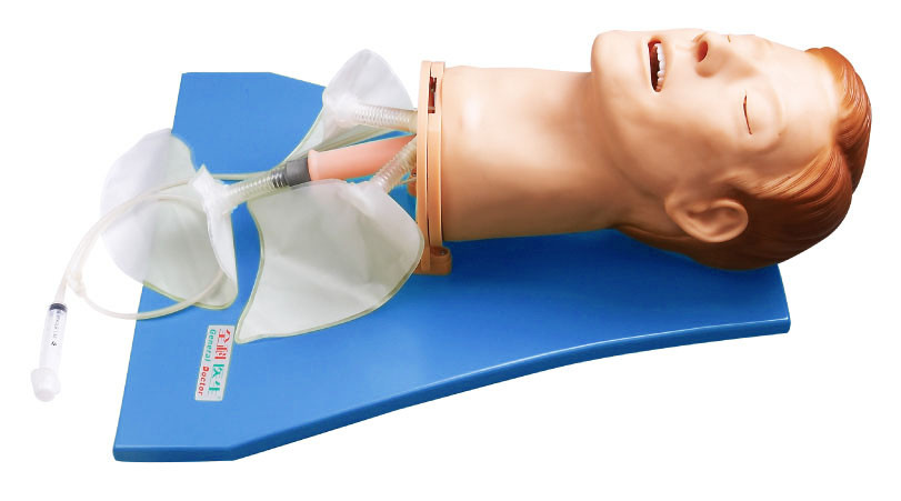 EMS Simulator / Airway training manikins for Observe Lung Respiratory Movement Training