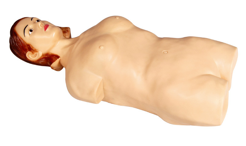 Female Half - Body Abdominal Palpation Simulator Manikin for College , Hospital Learning