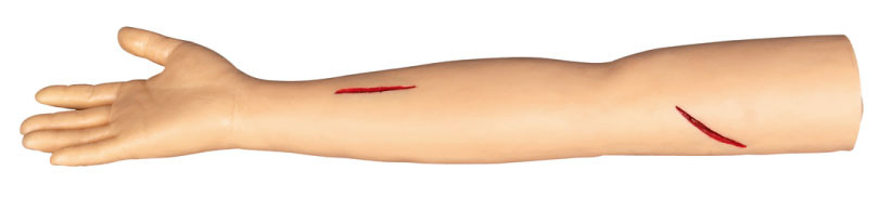 Suture Arm Surgical Training Models for cutting and suturing in colleage , hospital