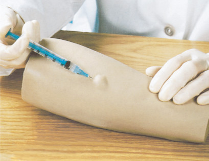 Lifesize Intradermal Injection of middle part of forearm model with eight positions test points