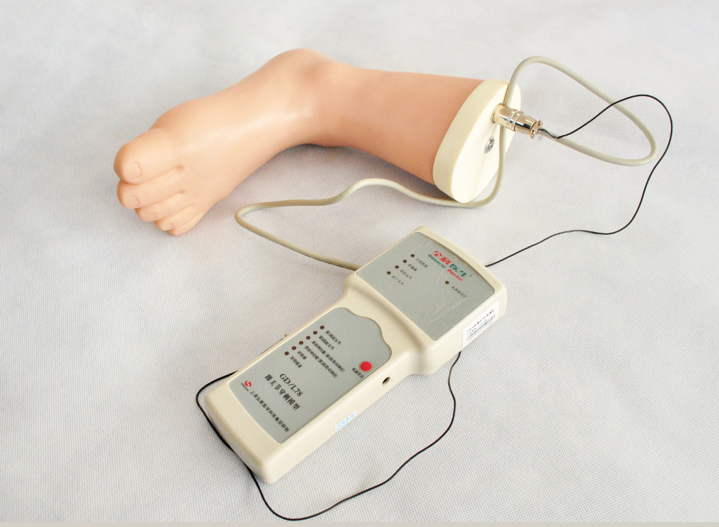 Anatomical structure foot Ankle Injection Clinical simulation training tool