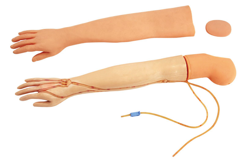 GD/HS2 Multifunctional Venipucture Injection and Transfusion Arm used for medical schools