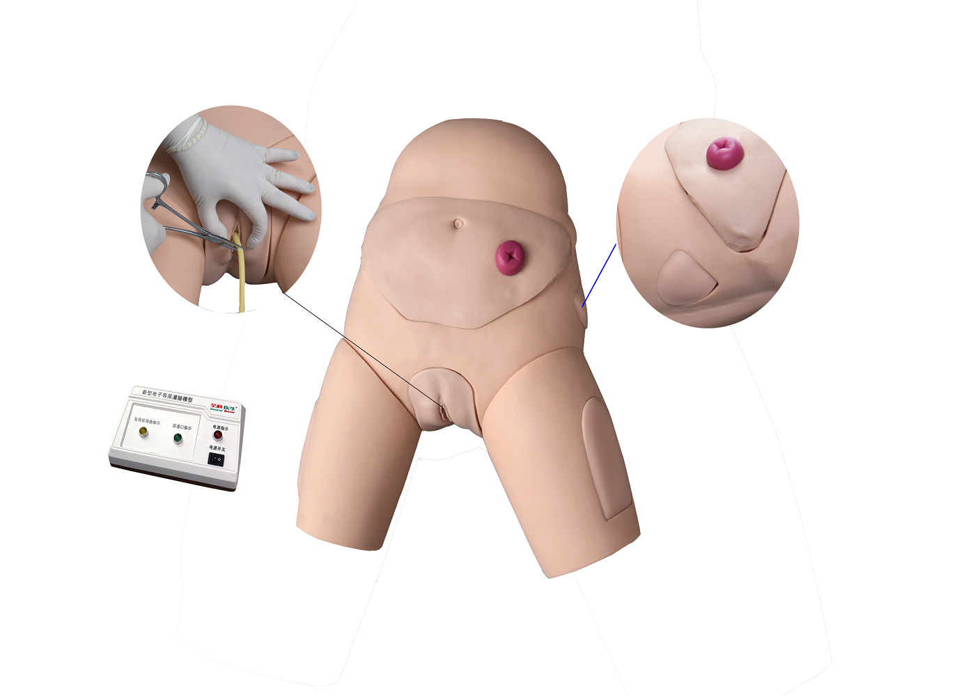 Electronic Urethral Catheterization and Enema Training Simulator