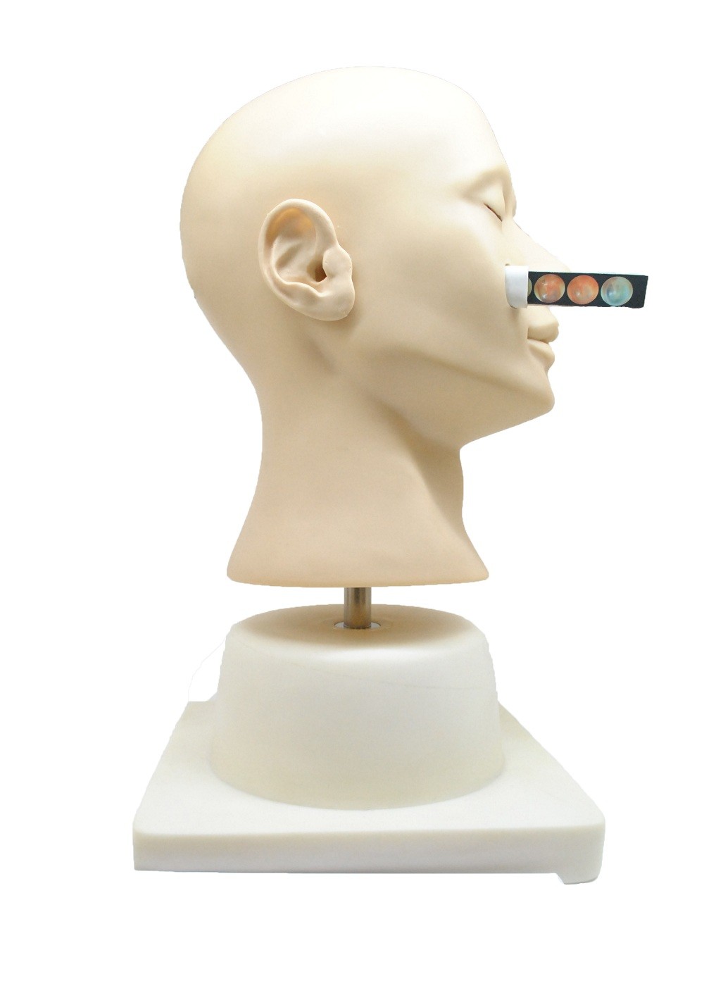 Advanced Clinical Simulation Nasal Hemorrhage Training Doll for College , Hospital
