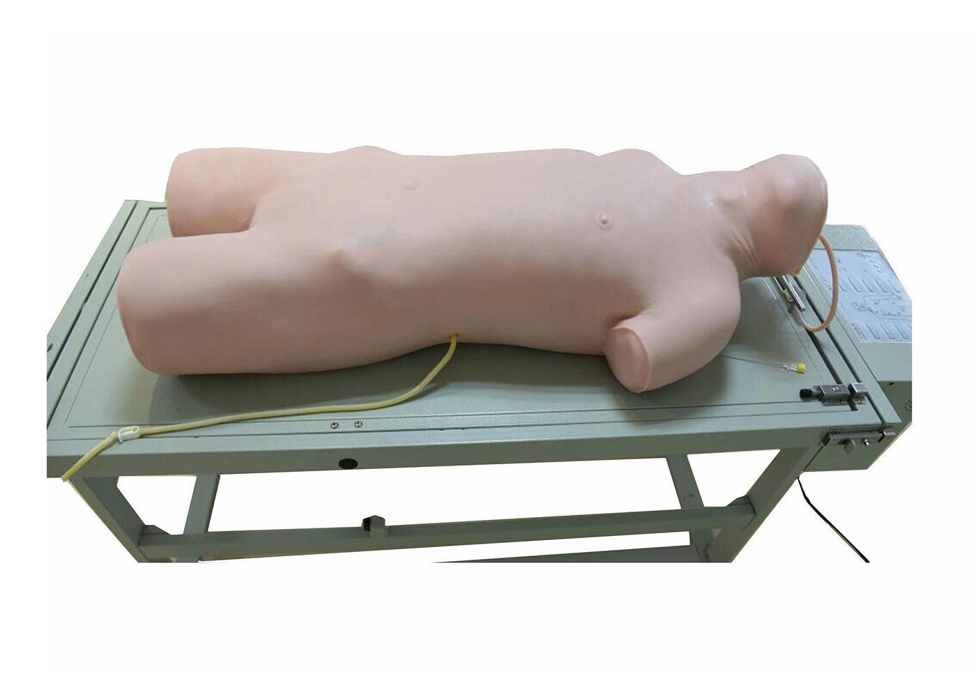Comprehensive Puncture Clinical Simulation Various Postions for Hospitals Training