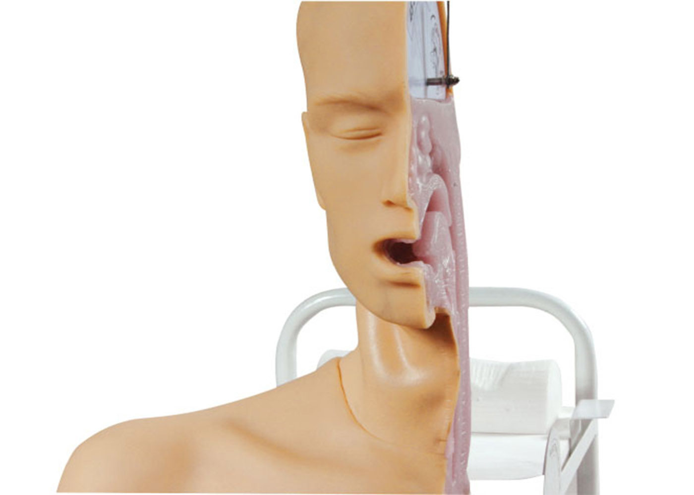 Swallow Mechanism Simulator clinical trial simulation for Learning and Training