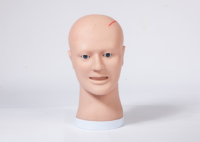 Debridement And Suturing Training / Teaching Clinical Simulation Human Head Model