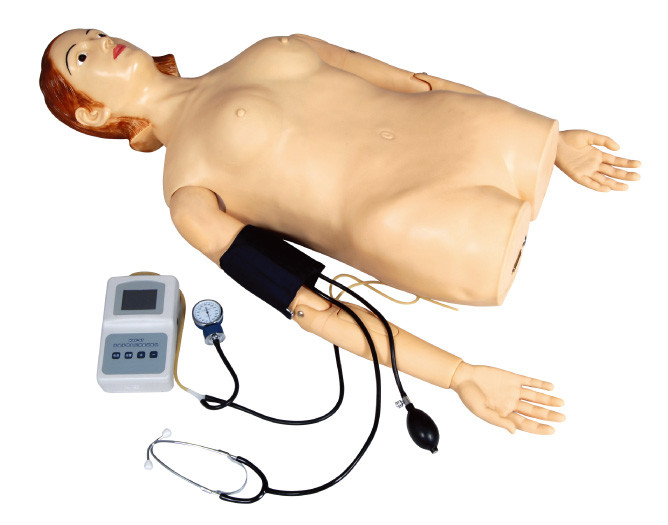 Female Half - Body Palpation Simulator with Blood Pressure Measurement for School , Hospital