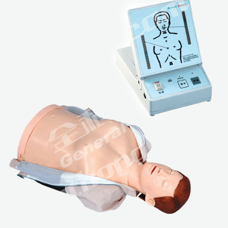 Half - Body CPR Training Mannequin and First Aid Training Manikins