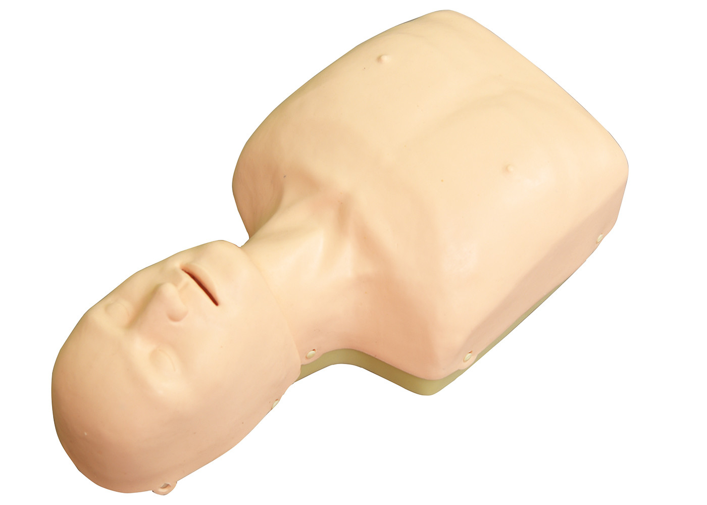 Cardiopulmonary Resuscitation Simulator