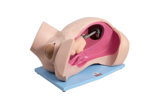 Manual childbirth simulation automatic birthing system / Emergency Simulation