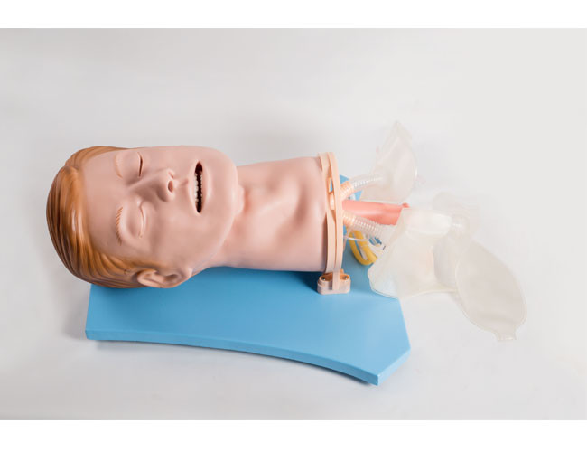 Breath Sound Function Painted PVC First Aid Manikins
