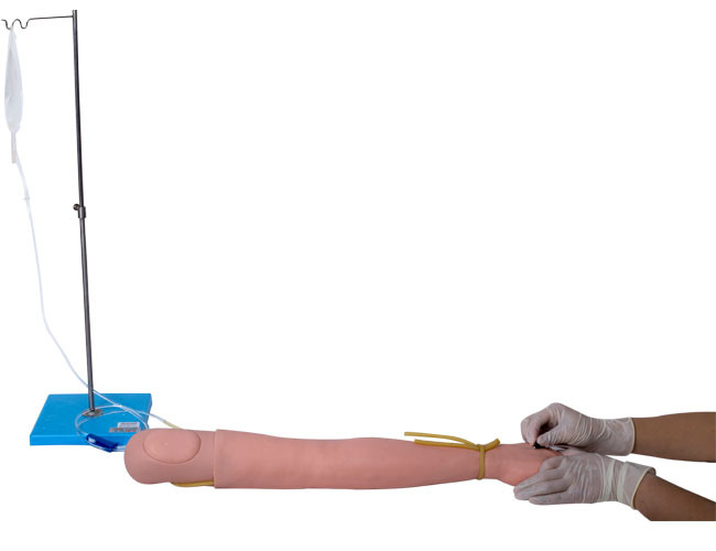 Lifelike Hospital Training Multi Veil Venipuncture Arm