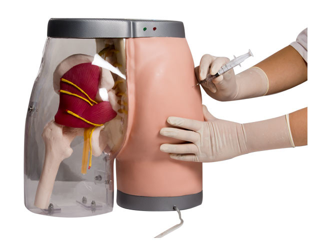 Transparent Intramuscular Injection Training Buttocks