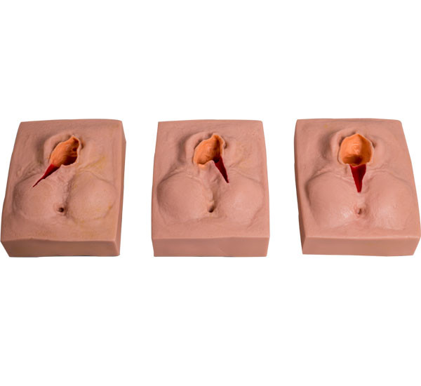 PVC Vulva Suturing Child Birth Simulator For School Training